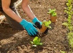 Gardena Blumenzwiebel Zubehör|Gartenhandschuhe > Pflanz- und Bodenhandschuh