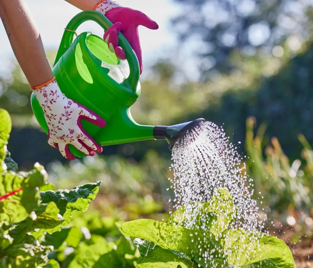 Gebol Handschuh Flower Duo, 2 Paar Online
