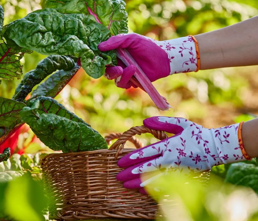 Gebol Handschuh Flower Duo, 2 Paar Online