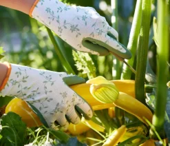 Gebol Handschuh Flower Duo, 2 Paar Online