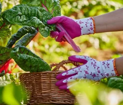 Gebol Gartenhandschuhe - Handschuh Flower Duo, 2 Paar