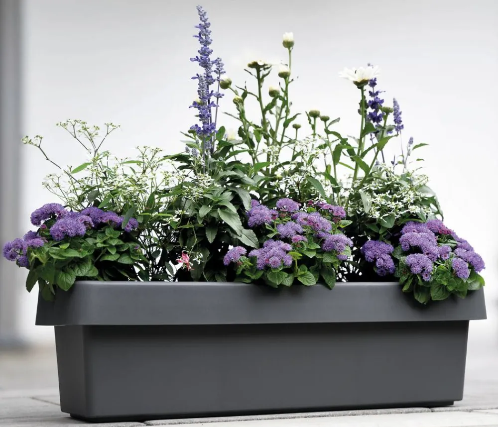 Geli Pflanzkübel & Blumenkästen - Kunststoff-Blumenkasten Viva, inkl. Bewässerungssystem, rechteckig Anthrazit