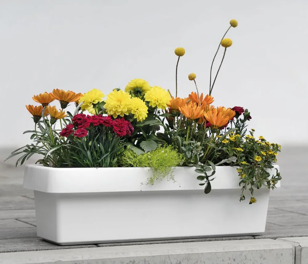 Geli Pflanzkübel & Blumenkästen - Kunststoff-Blumenkasten Viva, inkl. Bewässerungssystem, rechteckig Weiß