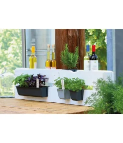 Geli Pflanzkübel & Blumenkästen|Blumentöpfe & Übertöpfe - Kunststoff-Pflanzkasten Easy, rechteckig, ca. B37/H9,5/T10 cm Schwarz