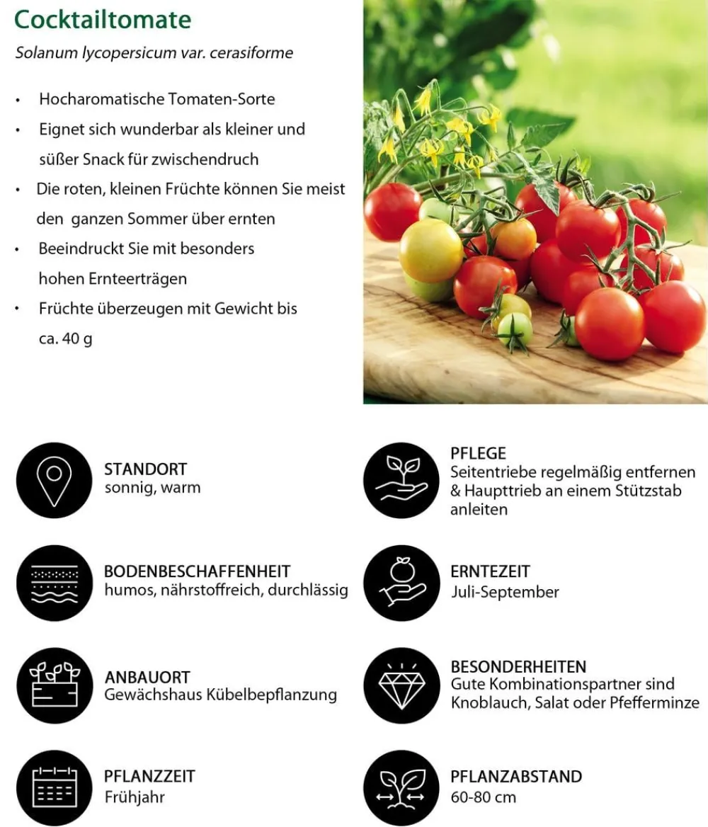 Dehner Gemüse-Sets|Gartengemüse > Gemüse-Set Grillparty, 6-teilig
