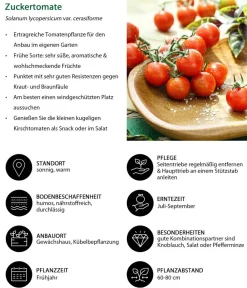 Dehner Gemüse-Set Großer Gemüsegarten, 6-teilig Discount
