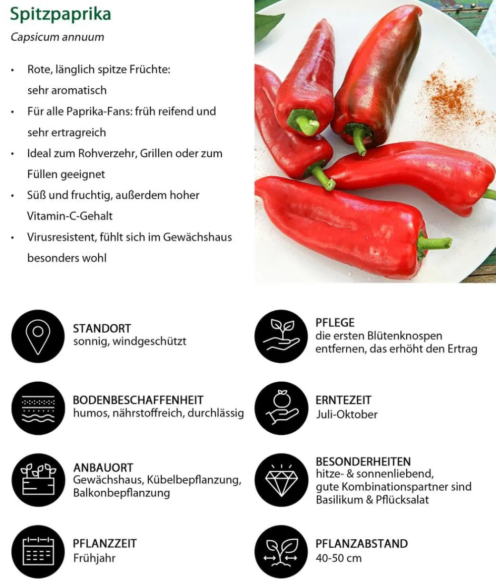 Dehner Gemüse-Set Schärfetest, 6-teilig Best