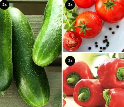 Dehner Gemüse-Set Snackgemüse für den Balkon, 6-teilig Sale