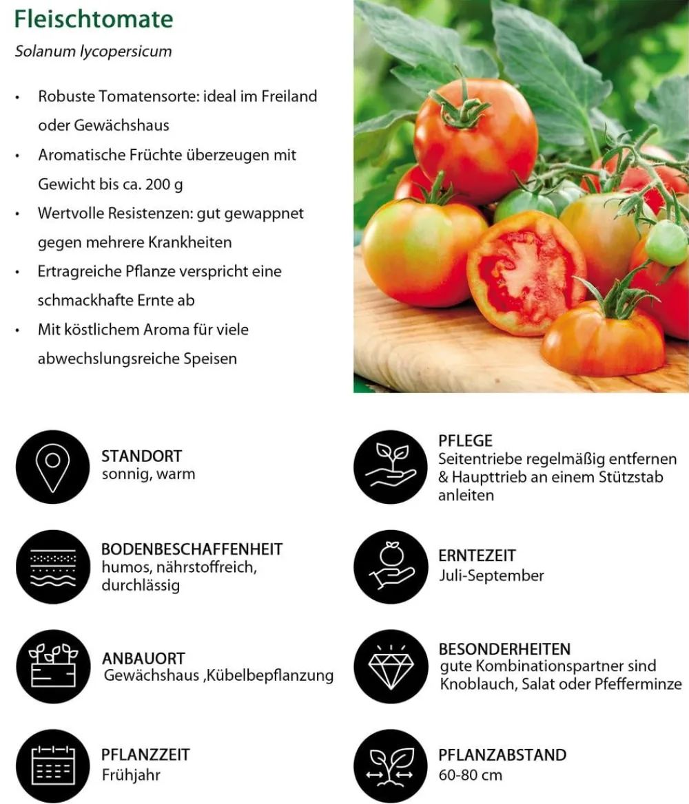 Dehner Auberginen- & Tomatenpflanzen|Gemüse-Sets - Gemüse-Set Tomatengenuss, 6-teilig Rot