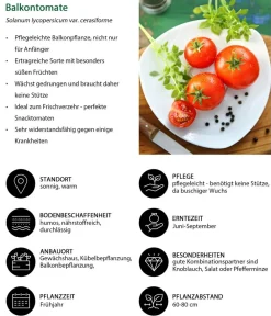 Dehner Auberginen- & Tomatenpflanzen|Gemüse-Sets - Gemüse-Set Tomatengenuss, 6-teilig Rot