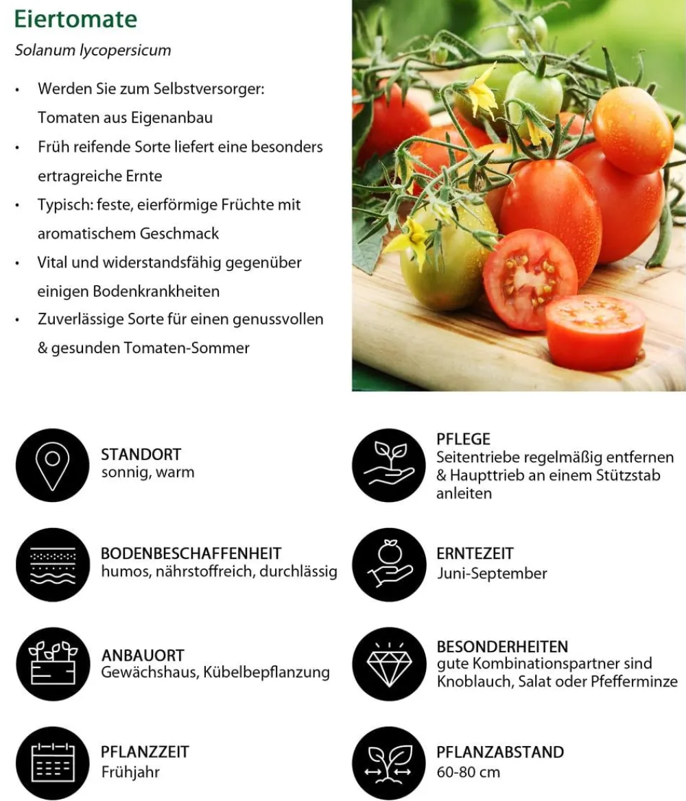 Dehner Auberginen- & Tomatenpflanzen|Gemüse-Sets > Gemüse-Set Tomatensalat, 3-teilig