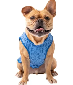 GF PET® Mehr Hundezubehör|Mehr Transport & Unterwegs > Eatofit® Hundekühwete