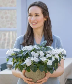 Dehner Girlanden-Hortensie 'Runaway Bride®' Weiß Outlet