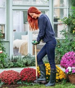 Dehner Grabschmuck & Grabgestaltung|Sommerstauden > Glattblatt-Aster