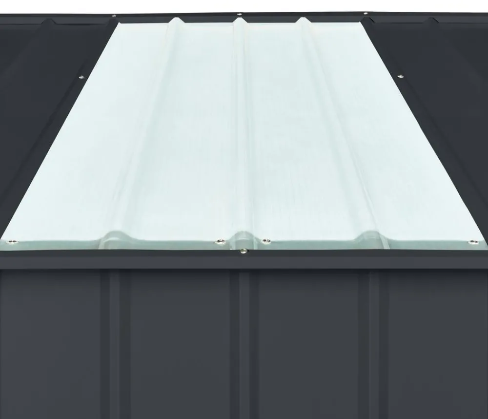 Globel Fenster & Türen - Dachpaneel Skylight Transparent