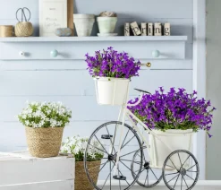 Dehner Glockenblume - Campanula portenschlagiana 'Get mee®' Weiß Sale