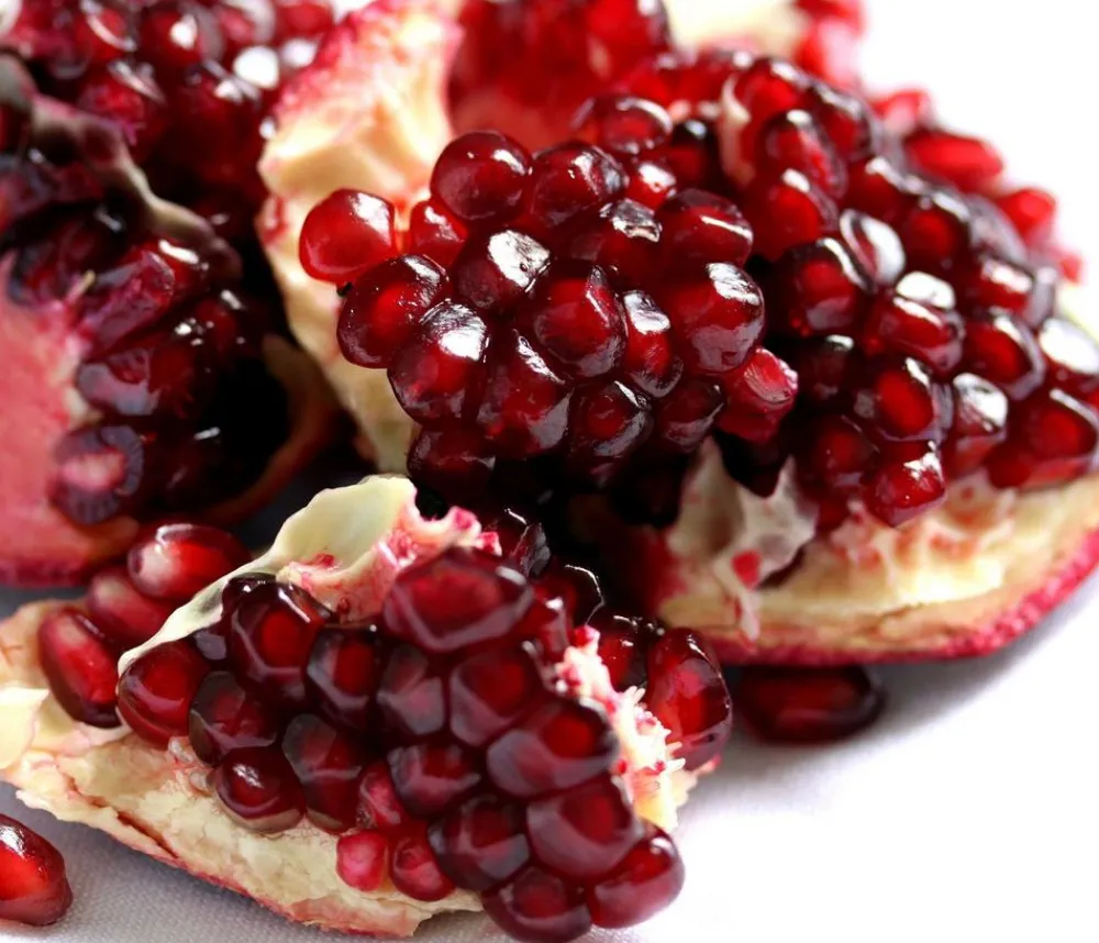 Dehner Granatapfel Rot Outlet