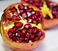 Dehner Nüsse & Besondere Obstbäume|Obstbäume - Granatapfel Rot