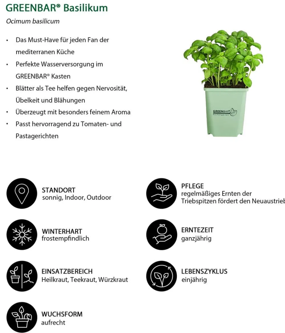 GREENBAR ® Greenbar-Kräuter|Küchenkräuter > GREENBAR® Basilikum