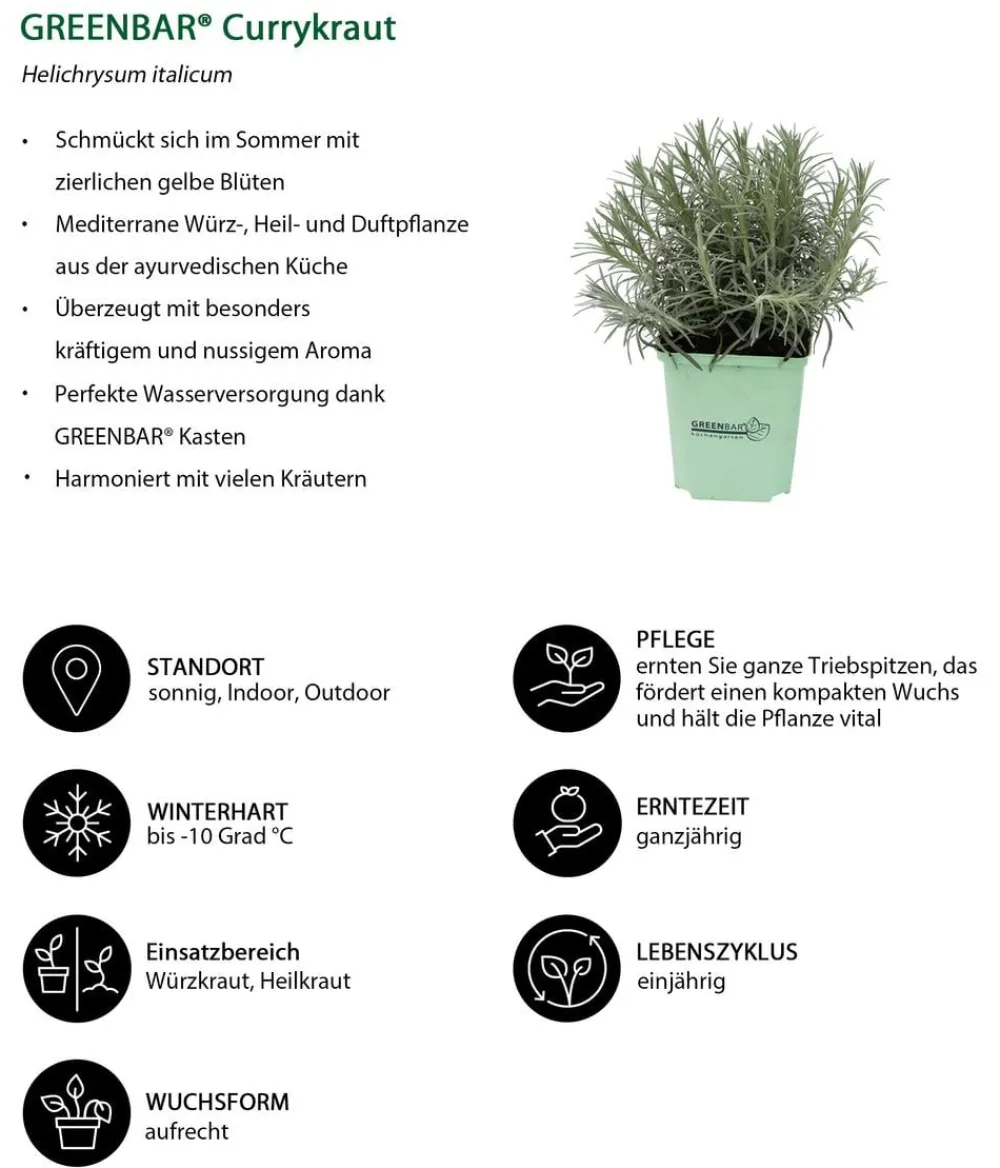 GREENBAR ® Garten- & Heilkräuter|Kräuter-Sets - GREENBAR® Exoten-Set, 6-teilig Grün