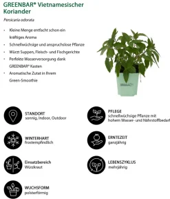 GREENBAR ® Garten- & Heilkräuter|Kräuter-Sets - GREENBAR® Exoten-Set, 6-teilig Grün