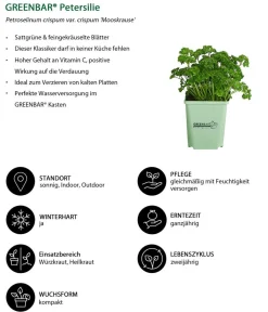 GREENBAR ® Garten- & Heilkräuter|Kräuter-Sets > GREENBAR® Küchenkräuter-Set, 6-teilig