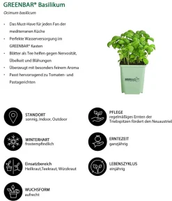 GREENBAR ® Garten- & Heilkräuter|Kräuter-Sets > GREENBAR® Küchenkräuter-Set, 6-teilig