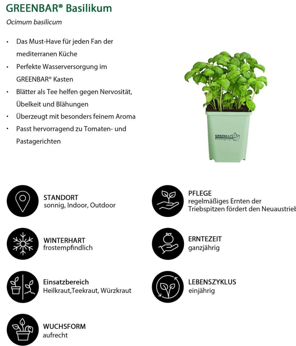 GREENBAR ® Garten- & Heilkräuter|Kräuter-Sets > GREENBAR® Küchenkräuter-Set, 6-teilig