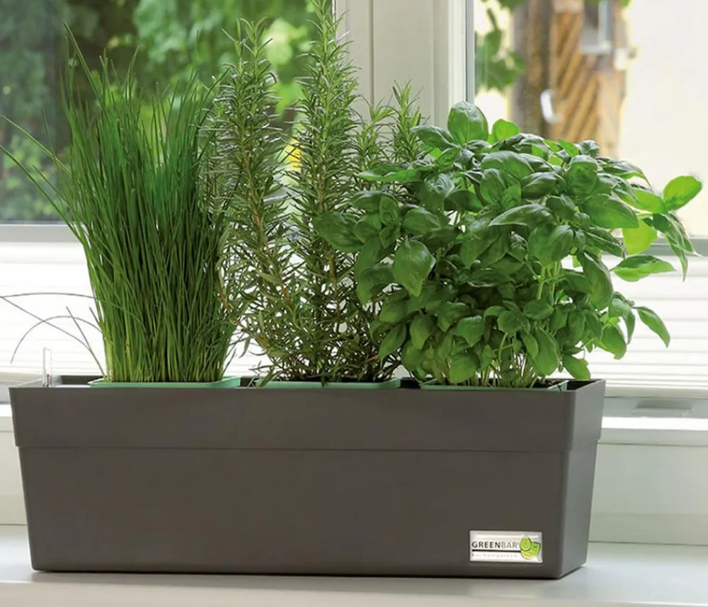 GREENBAR ® Garten- & Heilkräuter|Kräuter-Sets > GREENBAR® Küchenkräuter-Set, 6-teilig