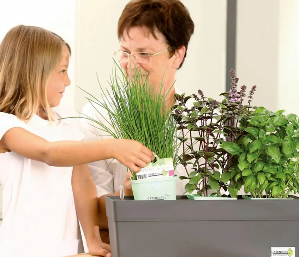 GREENBAR ® Garten- & Heilkräuter|Kräuter-Sets > GREENBAR® Küchenkräuter-Set, 6-teilig