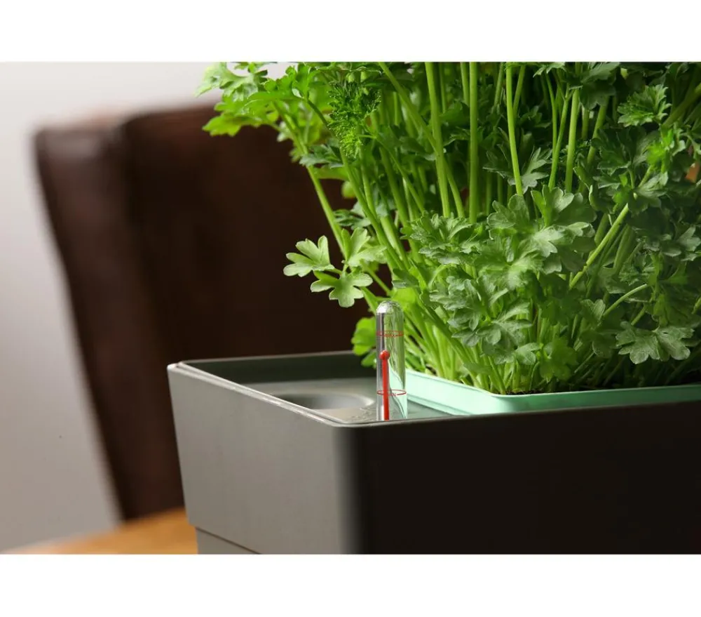 GREENBAR ® GREENBAR® Kräuterkasten, ca. B48/H15,5/T16 cm Dunkelrot Outlet