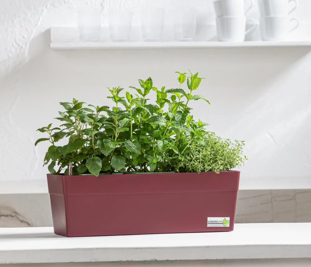 GREENBAR ® GREENBAR® Kräuterkasten, ca. B48/H15,5/T16 cm Dunkelrot Outlet