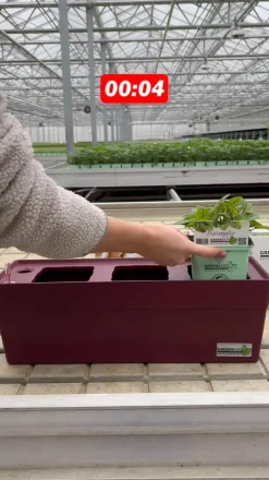 GREENBAR ® GREENBAR® Kräuterkasten, ca. B48/H15,5/T16 cm Türkis Best