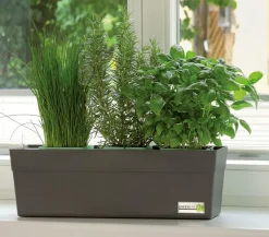 GREENBAR ® GREENBAR® Kräuterkasten, ca. B48/H15,5/T16 cm Türkis Best