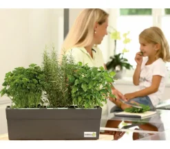 GREENBAR ® GREENBAR® Kräuterkasten, ca. B48/H15,5/T16 cm Türkis Best