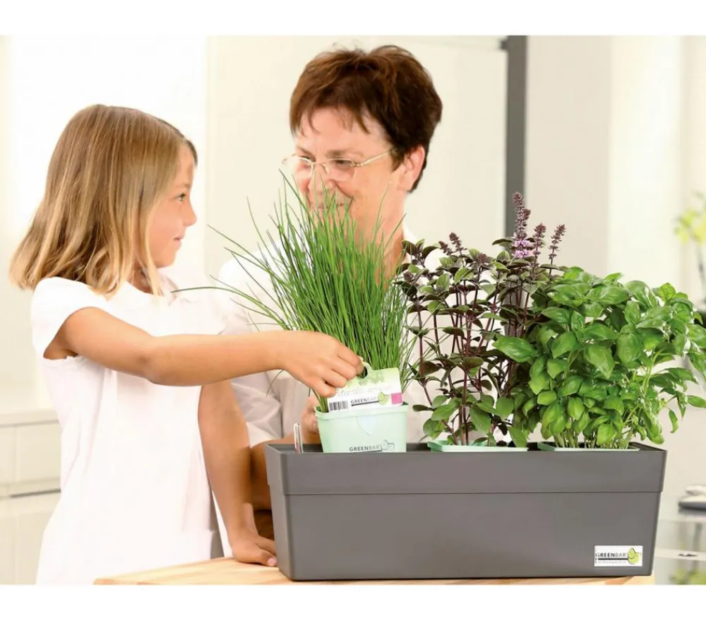 GREENBAR ® Kräuter-Sets|Greenbar-Kräuter - GREENBAR® Kräuterkasten, ca. B48/H15,5/T16 cm Hellbraun