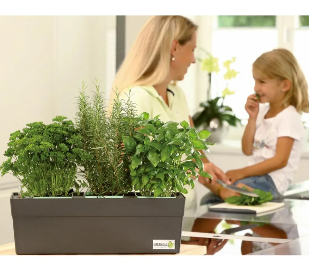 GREENBAR ® Kräuter-Sets|Greenbar-Kräuter - GREENBAR® Kräuterkasten, ca. B48/H15,5/T16 cm Hellbraun