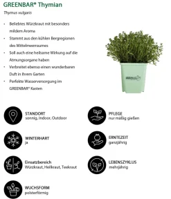 GREENBAR ® Garten- & Heilkräuter|Kräuter-Sets - GREENBAR® Kräuter-Set Vielfalt, 9-teilig Grün