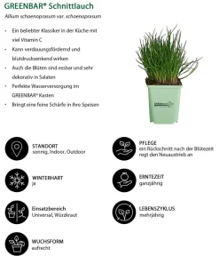 GREENBAR ® Garten- & Heilkräuter|Kräuter-Sets - GREENBAR® Kräuter-Set Vielfalt, 9-teilig Grün