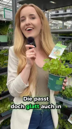 GREENBAR ® Greenbar-Kräuter|Küchenkräuter - GREENBAR® Petersilie, glatt Grün