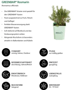 GREENBAR ® Garten- & Heilkräuter|Greenbar-Kräuter > GREENBAR® Rosmarin, hängend