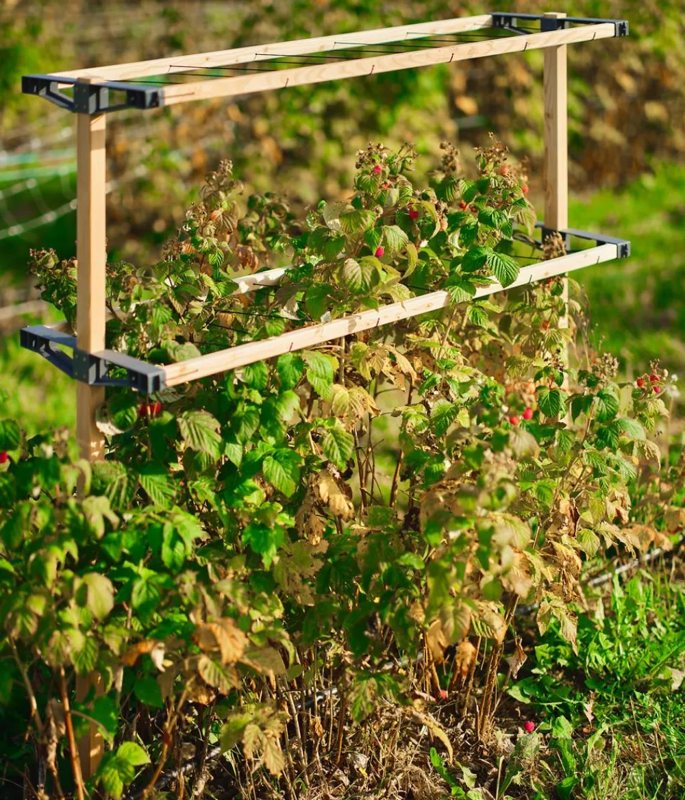 GUSTA GARDEN Rankgitter & Obelisken - Beeren-Rankhilfe Berry Buddy, ca. B119/H139/T35 cm Natur