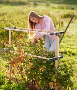 GUSTA GARDEN Rankgitter & Obelisken - Beeren-Rankhilfe Berry Buddy, ca. B119/H139/T35 cm Natur