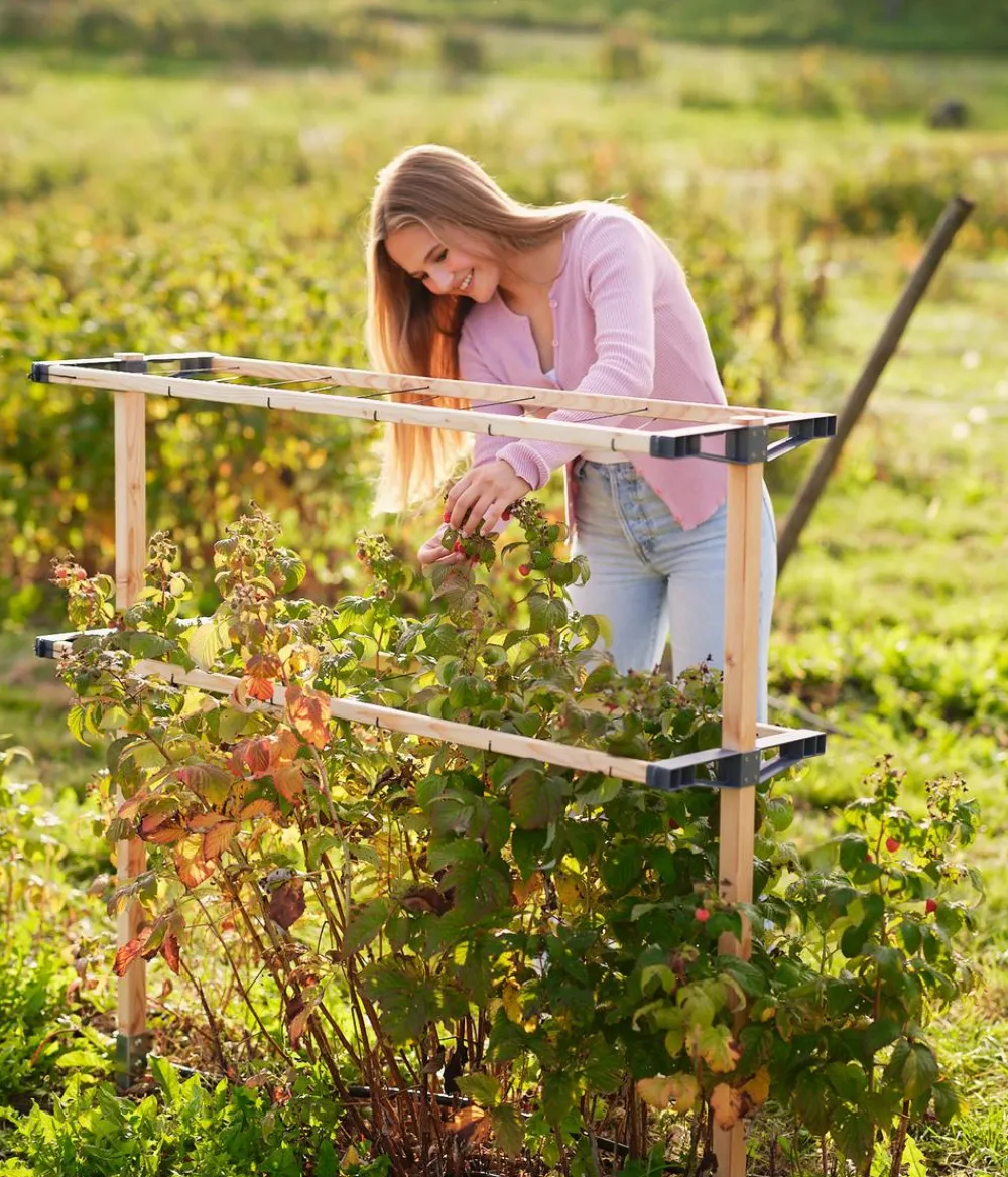 GUSTA GARDEN Rankgitter & Obelisken - Beeren-Rankhilfe Berry Buddy, ca. B119/H139/T35 cm Natur