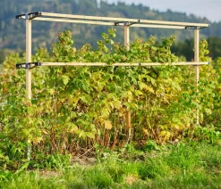 GUSTA GARDEN Rankgitter & Obelisken - Beeren-Rankhilfe Berry Buddy Erweiterung, ca. B119/H139/T35 cm Natur