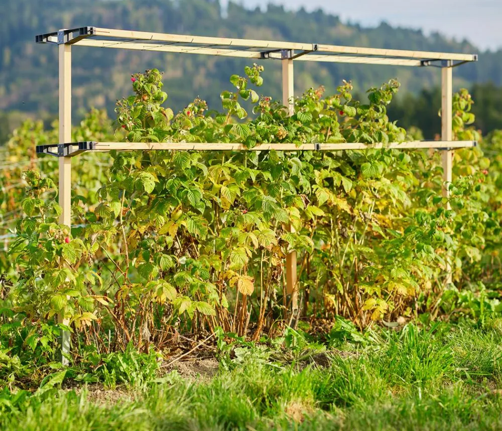 GUSTA GARDEN Rankgitter & Obelisken - Beeren-Rankhilfe Berry Buddy Erweiterung, ca. B119/H139/T35 cm Natur