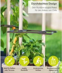 GUSTA GARDEN Chili-Pflanztopf Charly Chili XL, ca. B34,7/H138/T28,1 cm Hellgrau Clearance
