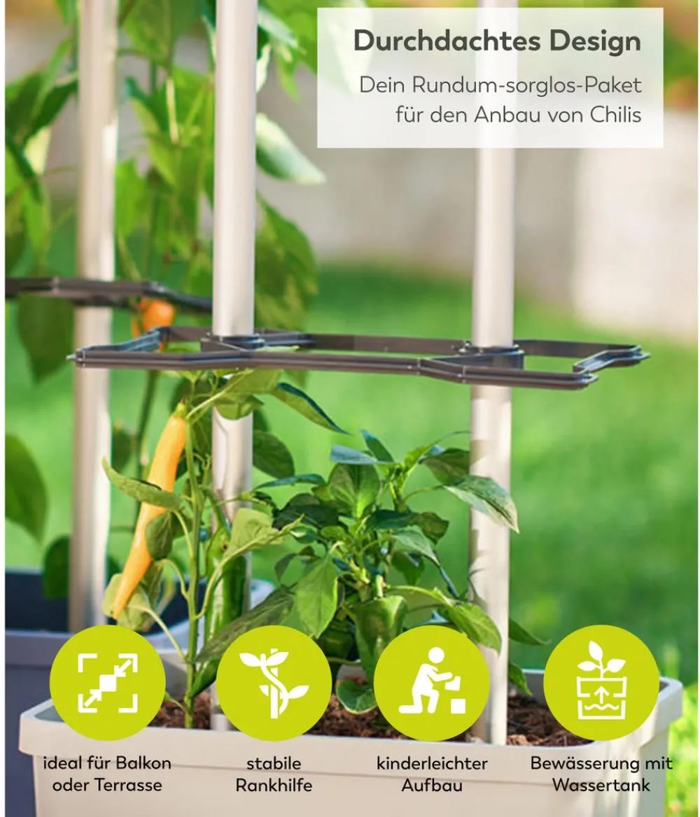 GUSTA GARDEN Chili-Pflanztopf Charly Chili XL, ca. B34,7/H138/T28,1 cm Hellgrau Clearance