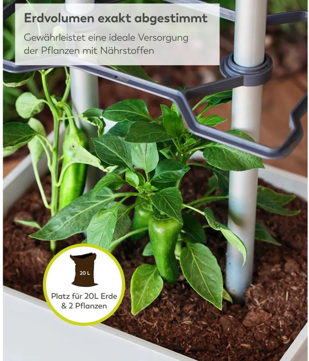 GUSTA GARDEN Chili-Pflanztopf Charly Chili XL, ca. B34,7/H138/T28,1 cm Hellgrau Clearance