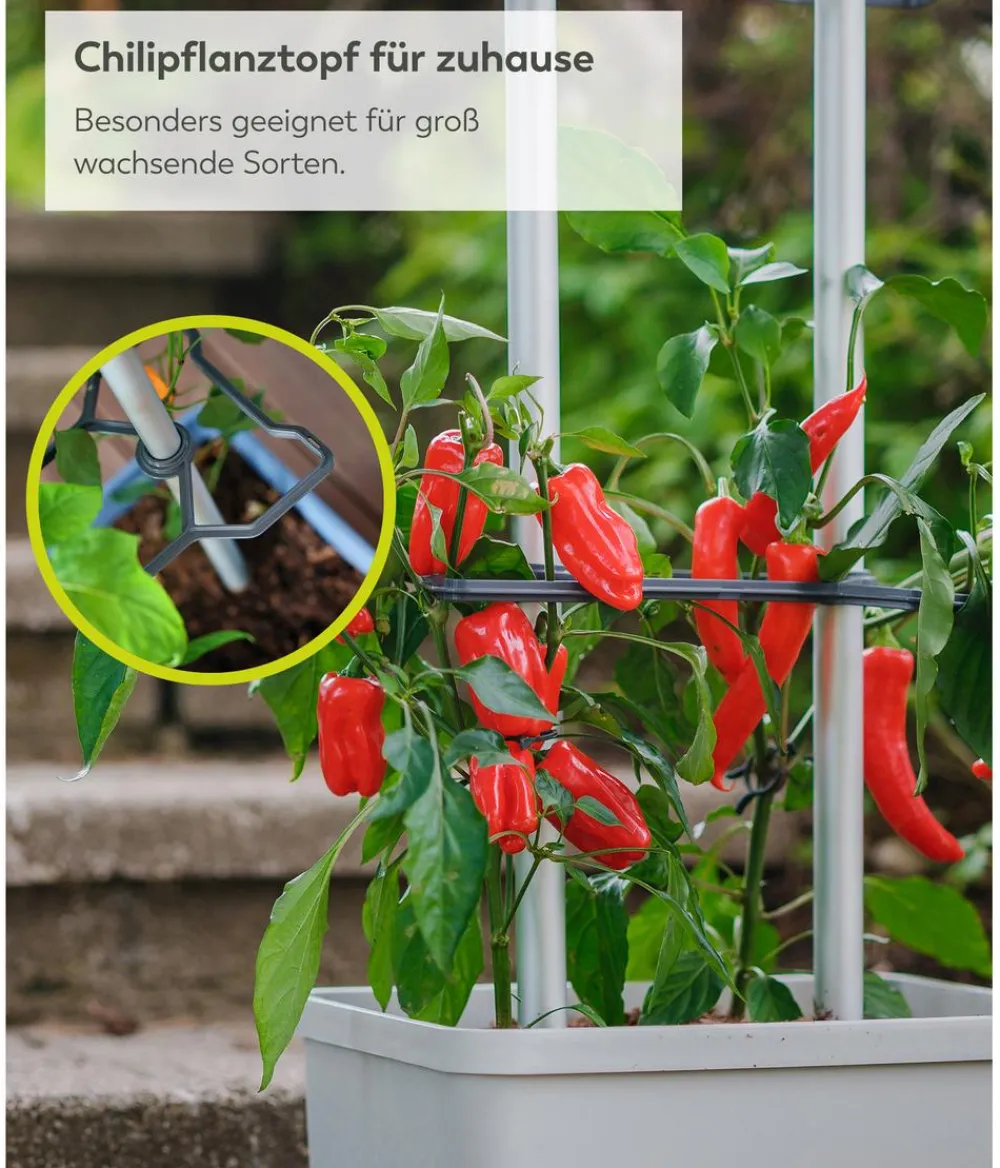 GUSTA GARDEN Chili-Pflanztopf Charly Chili XL, ca. B34,7/H138/T28,1 cm Hellgrau Clearance